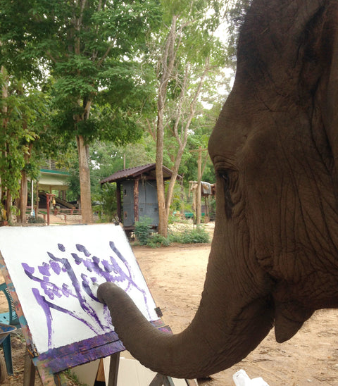 Do elephants like to Paint? Are they trained?