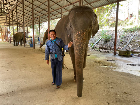 Elephant Khaelang