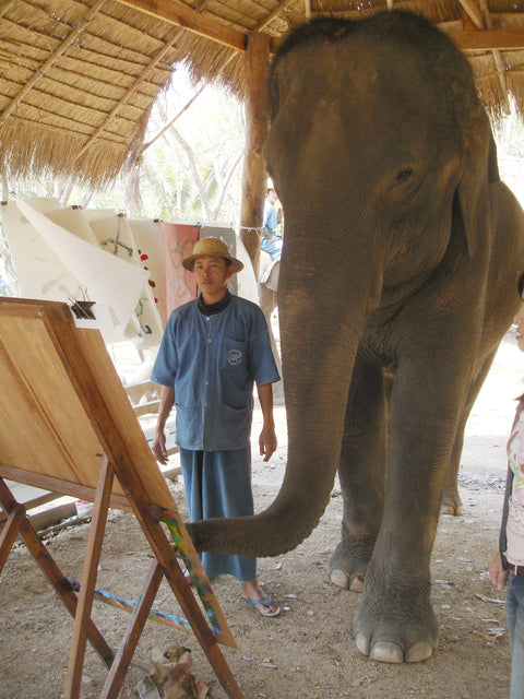 Elephant Luk-Khang