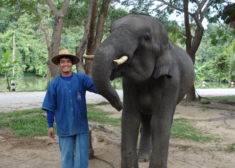 Elephant Tao