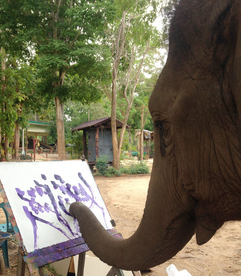 Do elephants like to Paint?  Are they trained?