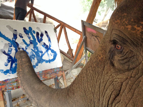 Are Paintings by Elephants Really Art?