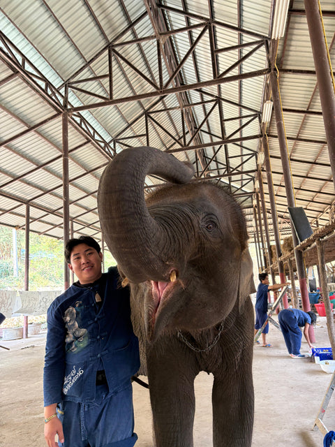 Elephant Bai Boon