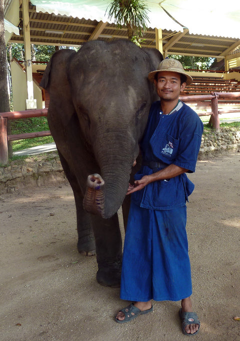 Elephant Baithong