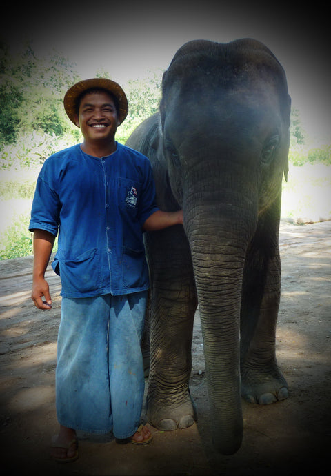 Elephant Khaelang