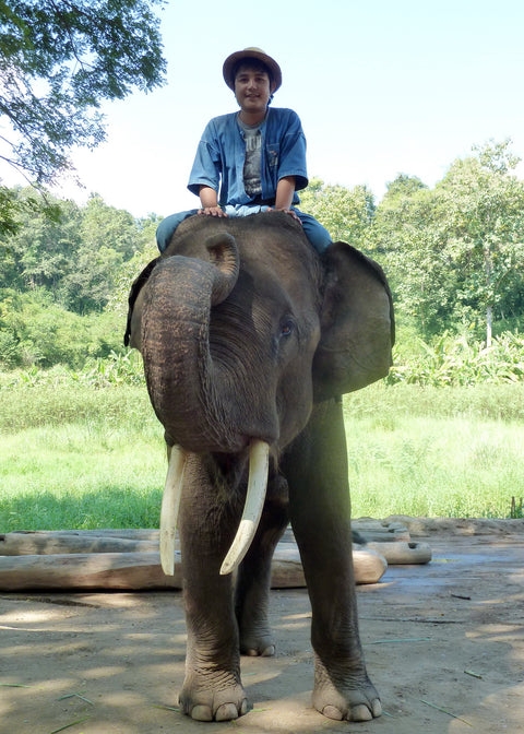 Elephant Khankluay